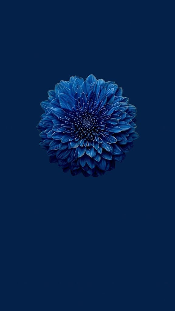 wallpaper 7